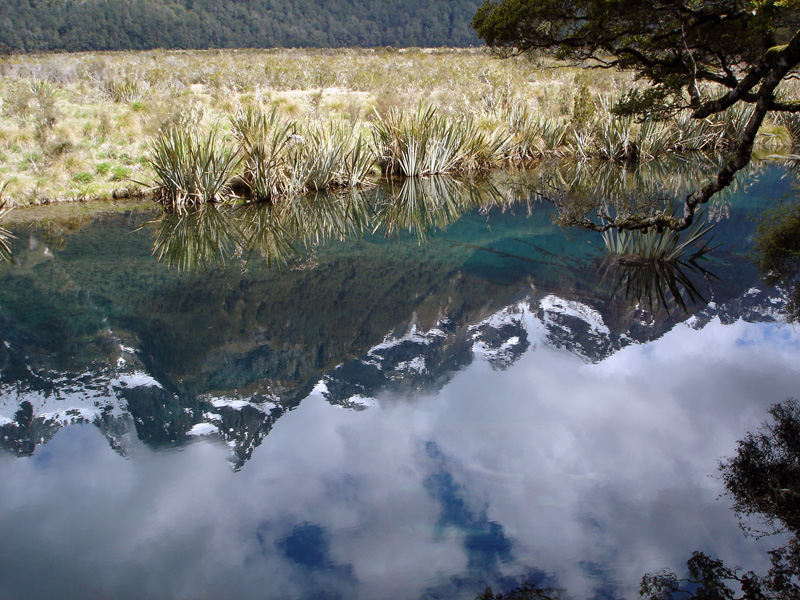 Mirror Lake - South Island - New Zealand