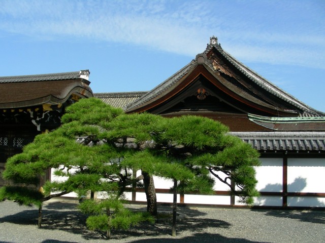I giardini giapponesi: talento e architettura del Sol Levante.