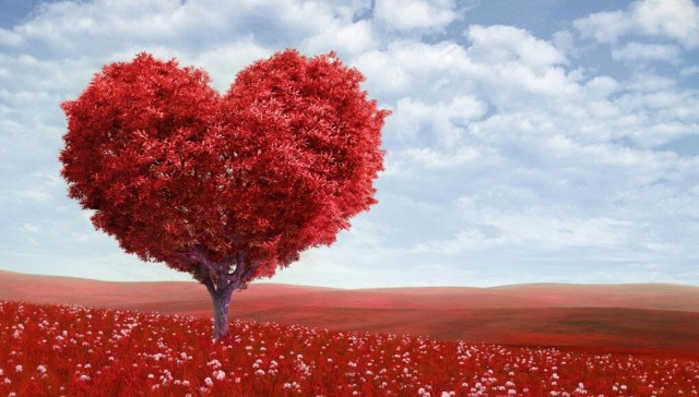 #nonattaccateilcuore #svegliatitalia